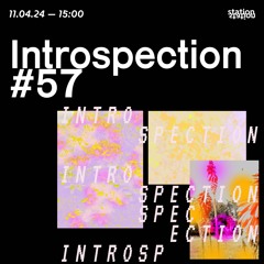 Introspection #57