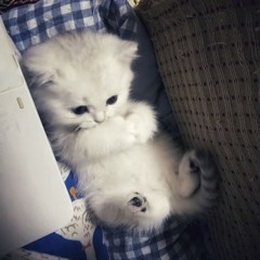 kanexo - febreeze (prod. ynfl)