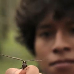 L'INCHIESTA - from the original motion picture "Vakhim"