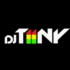 DJ TiiNY x DJ MiamiLee - Afrobeat & Amapiano Miix  (2025)