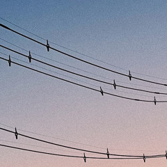 HASAMI group - Waiting More (cover)