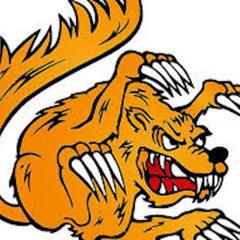 Mongoose