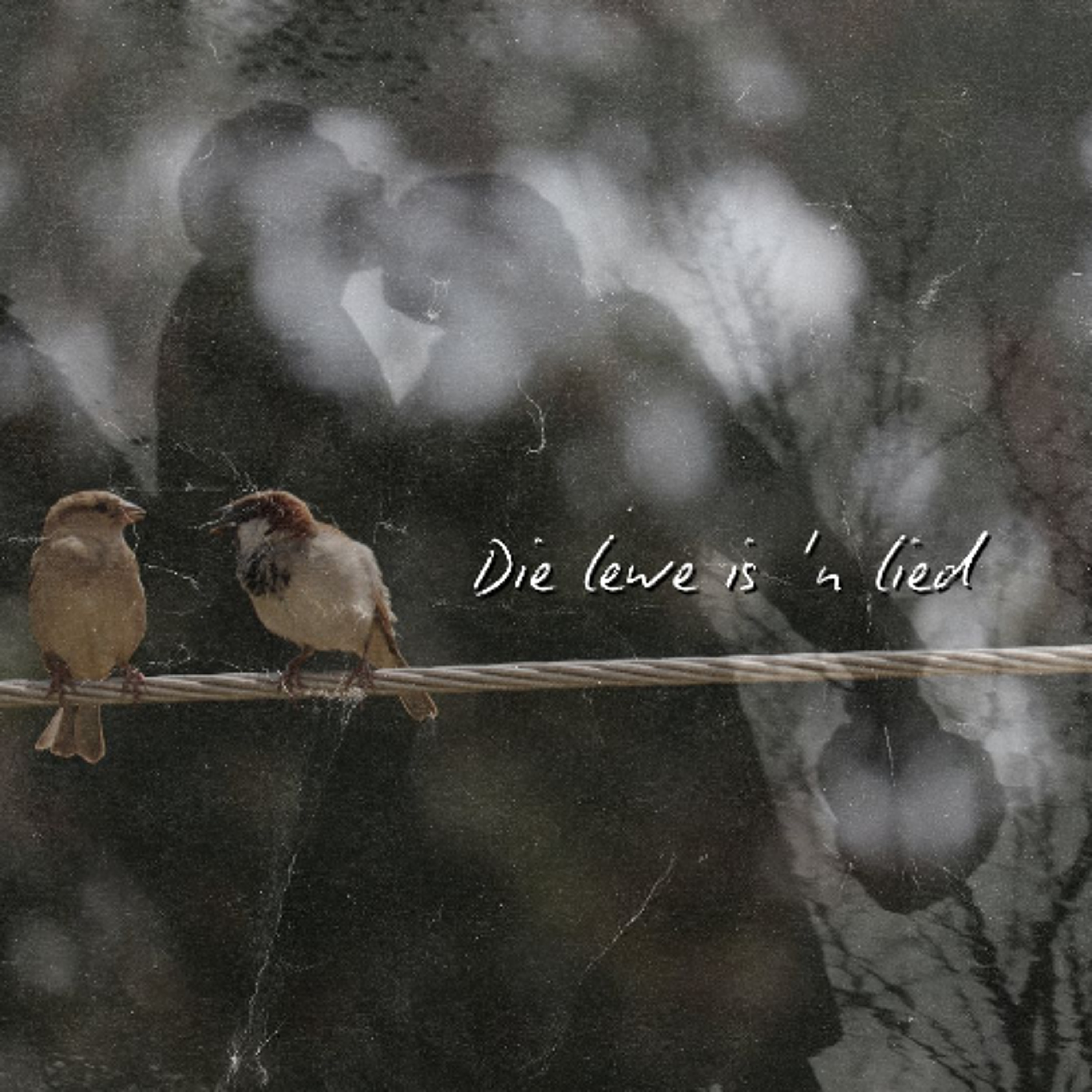 DIe Lewe is 'n Lied deur Frieda van den Heever