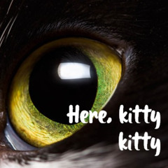 Here Kitty, Kitty