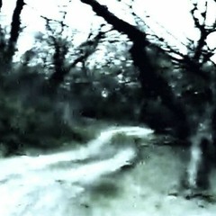 Provoker - Bugs And Humans (Hardstyle Remix By Kukihino)