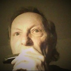Ave Maria  Franz Schubert -Harmonica Version by Dan