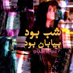 شب بود بیابان بود