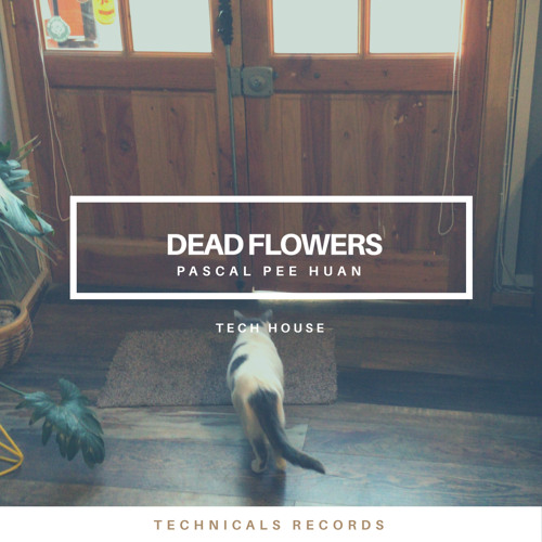 Pascal Pee Huan Present. : DEAD FLOWERS  Tech House 2020 (creado con Spreaker)