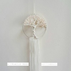 A Fragile Seed