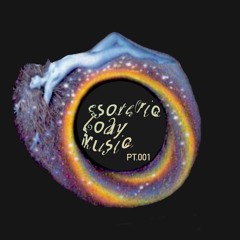 esotericbodymusic pt.001 @ domino lounge 12.27.25