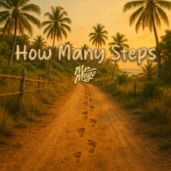 Mr Mego - How Many Steps