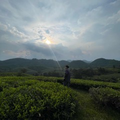 YÊU TỪ XA REMIX .WAV