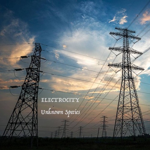 Electrocity