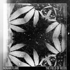 The Field Of Reeds