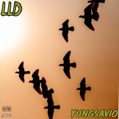 YungSavio - L.L.D