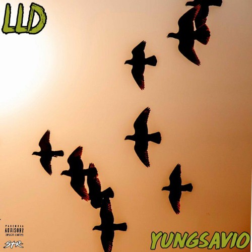 YungSavio - L.L.D