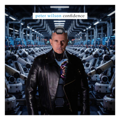 Peter Wilson - Confidence (Radio Mix)