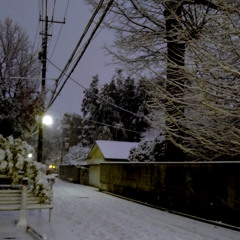 Walking Night Street [2A03]