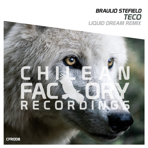 Stream TECO (Liquid Dream Remix Radio Edit) by Braulio Stefield | Listen  online for free on SoundCloud