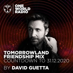 Tomorrowland Friendship Mix - David Guetta