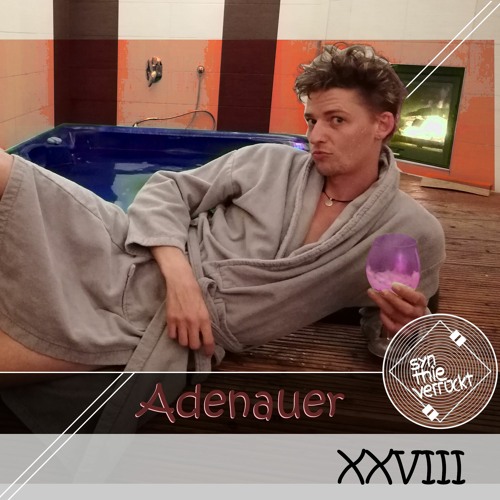 Wer syn.thie eigentlich? XXVIII by Adenauer