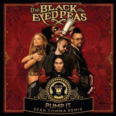 Black Eyed Peas - Pump It (Sean Comma Remix)