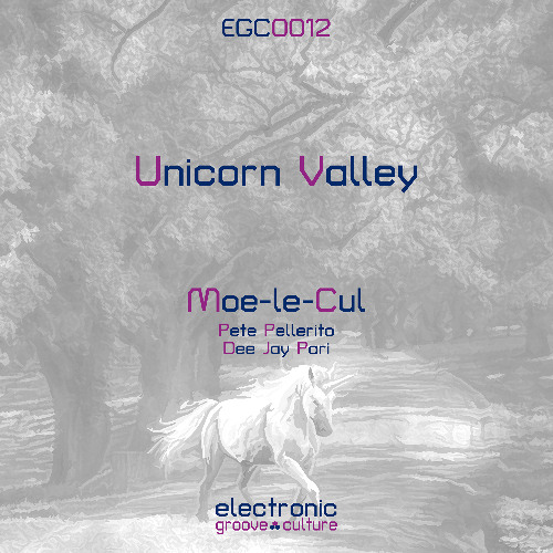 COMING SOON: Moe-le-Cul - Unicorn Valley (Dee Jay Pari Remix)