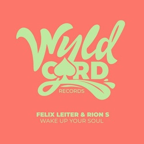Felix Leiter Feat. Rion S - Wake Up Your Soul [PREVIEW]