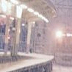 セミエクスプレスツアー