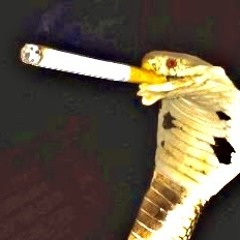 Anaconda