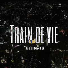 Train de vie