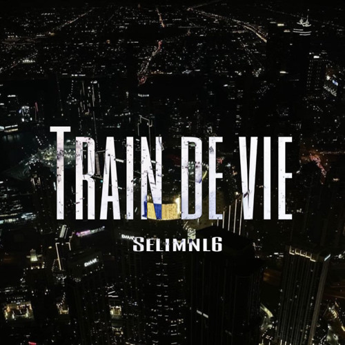 Train de vie