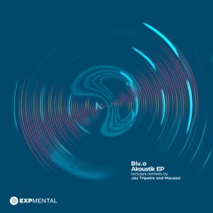 PREMIERE: Blu.a - Akoustik (Macassi Remix) [Experimental Records]