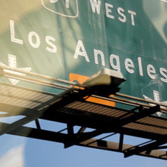 Cowboy In LA