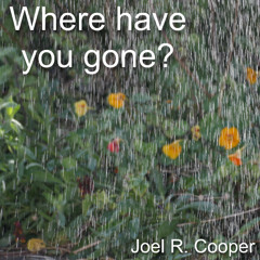 Where have you gone?
