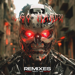 Brutal Theory - WE GO HARDER (Sari Remix)