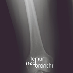 cracking Bones