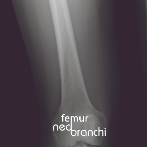 cracking Bones
