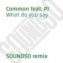Common feat. PJ - What do you say (Soundso remix)