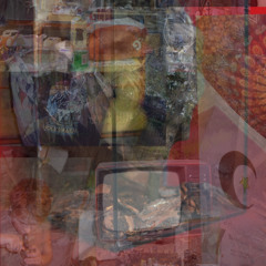 mushr00mtrip