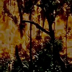 BONUS TRACK) headlice w/ K.V (prod. crcl) (no distortion)