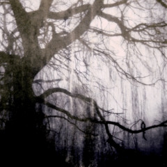 GHOST prod. BY YOUFORIA