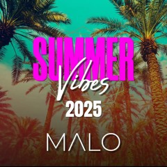 Summer Vibes 2025 DJ Malo Mix