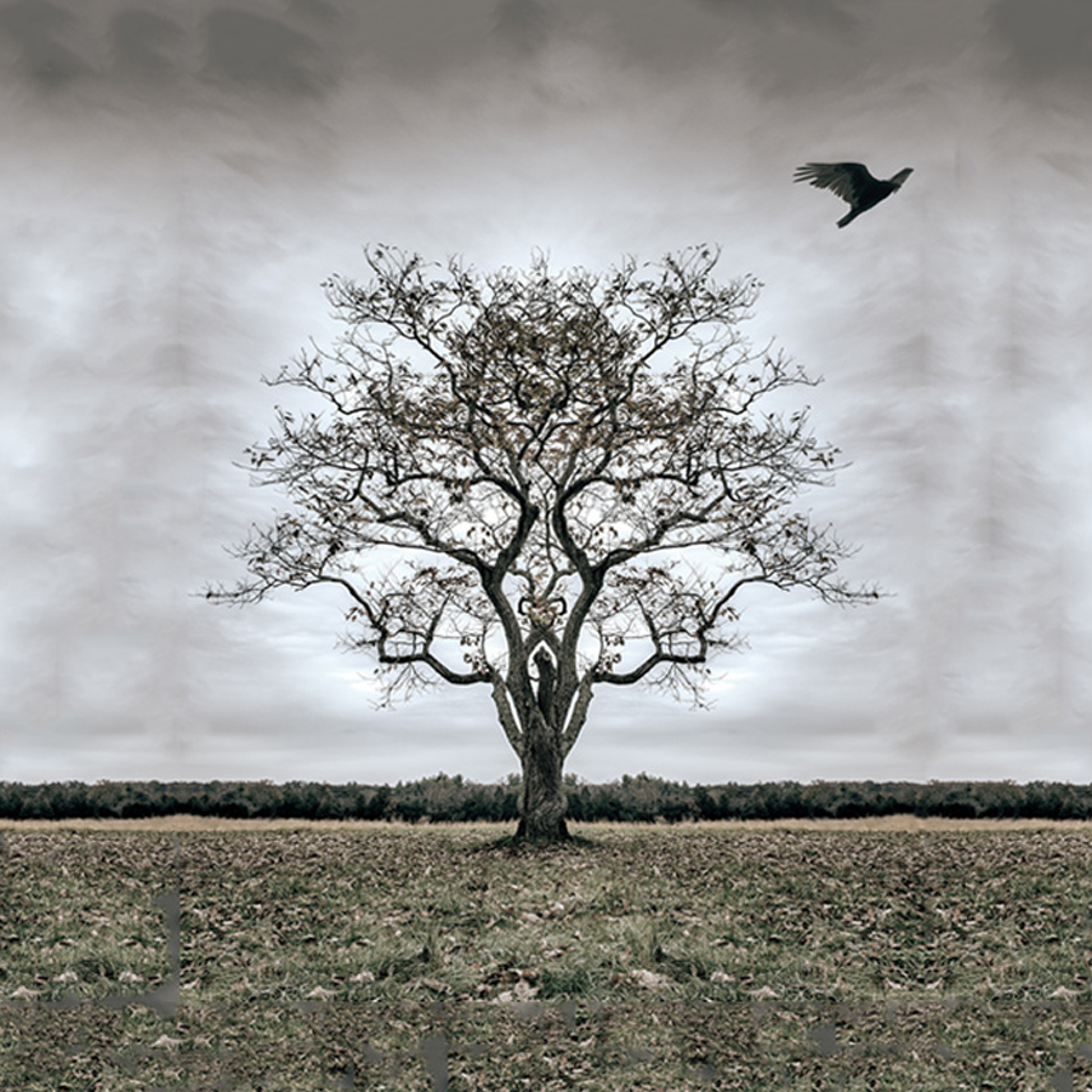 cover of episode Contemplation on Death and Impermanence