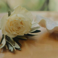 Delicate