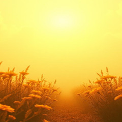 Heavenly Father,  (1)