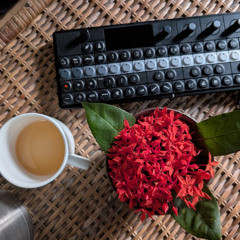 Celebration of Colors