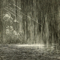 Friday Rain