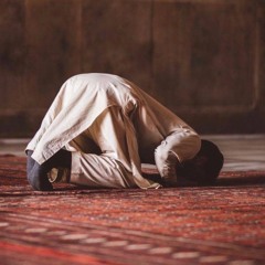 سورة القيامة - الشيخ أحمد بن طالب - فجريّة