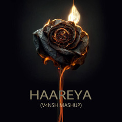 Haareya (V4NSH MASHUP)